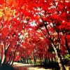 Red Flower Tree Palette Knife Painting – Paint By Number