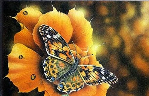Autumn Butterfly paint by numbers