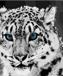 Snow Leopard  – Paint By Number