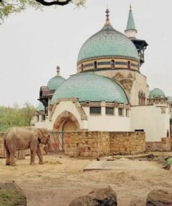 Budapest Zoo - Paint By Numbers