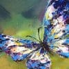 Blue Butterfly – Insects Paint By Numbers