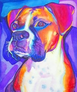 Colored Boxer Dog – Paint By Number