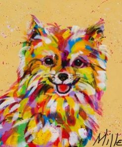 Colorful Pomeranian - Paint By Number