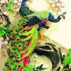 Couple Of Peacock paint by numbers