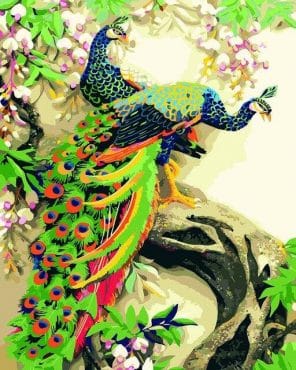 Couple Of Peacock paint by numbers