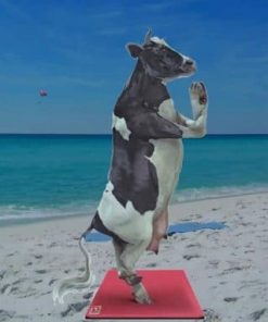 Cow Doing Yoga - Paint By Number