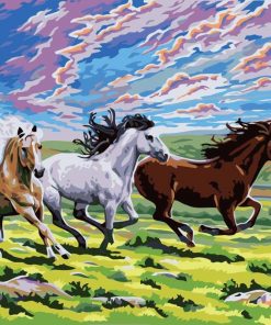 Three Horses Running - Paint By Number