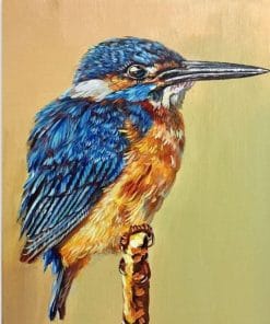 Bird With A Long Mouth - Paint By Numbers