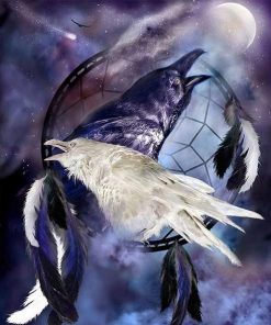 Black And White Crow - Paint By Numbers