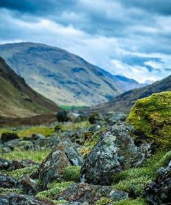 Scottish Highlands - Paint By Number