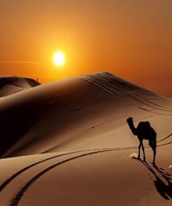 Desert Island – Landscape Paint By Numbers