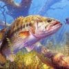 Big Fish paint by numbers