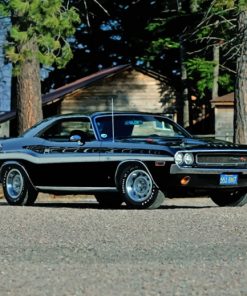 Black Dodge 1970 Challenger - Paint By Number