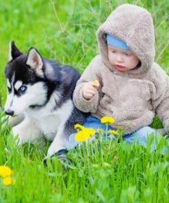 Infant And Husky – Animals Paint By Number