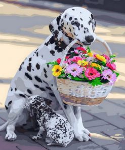 Dalmatian Dog With Flowers Basket - Paint By Numbers