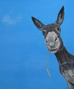 Donkey Portrait – Paint By Number