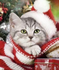 Christmas Kitten Cat – Animals Paint By Number