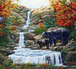 Black Bear Falls – Paint By Number