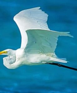 Flying White Bird - Paint By Number