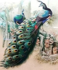 Forest Peacock - Birds Paint By Number