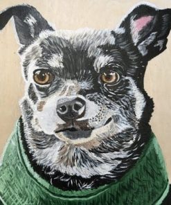 Gray Chihuahua – Paint By Number