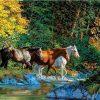 Group Of Horses Cross The River - Paint By Number