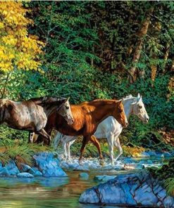 Group Of Horses Cross The River - Paint By Number