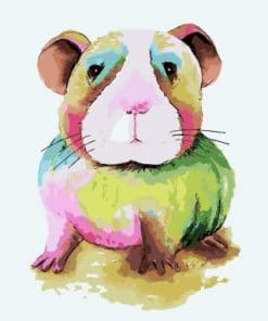 Guinea Pig - Animals Paint By Number