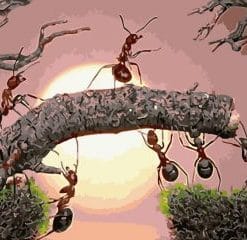 Ants On Tree – Insects Paint By Numbers