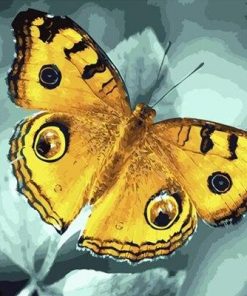 Yellow Butterfly – Paint By Number