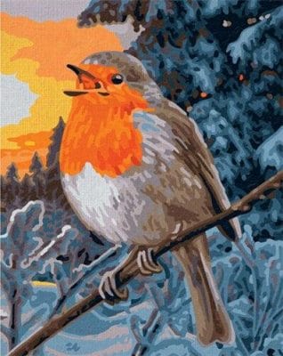 The European Robin Birds Paint by numbers