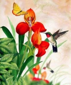 Orchid And Hummingbird - Paint By Numbers