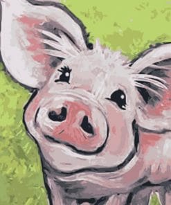 Pig Smiling – Paint By Number