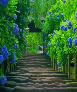 Hydrangea Flowers – Paint By Number