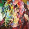 Labrador Colorful - Paint By Number