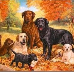 Labrador Dogs - Paint By Number