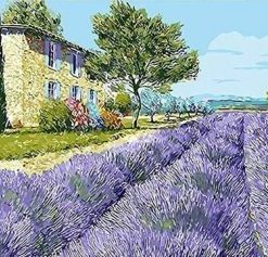 Lavender Field – Paint By Number