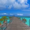 Mabul Island - Paint By Numbers