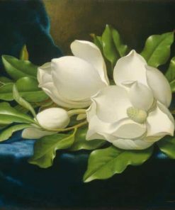 Magnolias On A Blue Velvet Cloth - Paint By Number