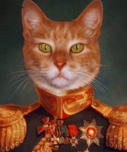 Mr Cat – Paint By Number
