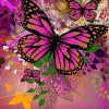 Black Butterfly paint by numbers