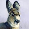 Winter Llama paint by numbers