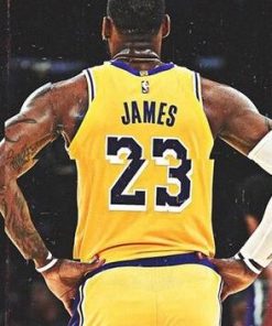 Lebron James – Paint By Number