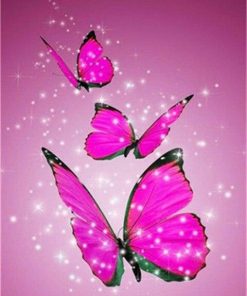 Pink Butterfly – Insects Paint By Numbers