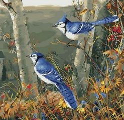 Blue Jay On Flowering Tree Paint by numbers