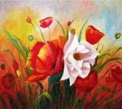 Poppies In Garden - Paint By Numbers