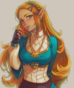 Princess Zelda - Paint By Number