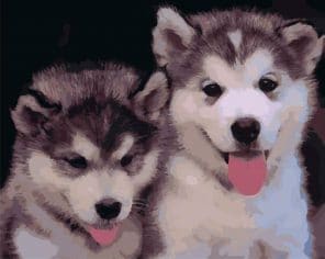 Puppies Of Husky Paint by numbers
