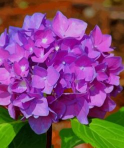 Purple Hydrangea – Paint By Number
