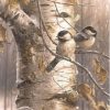 Birds Birch Tree – Paint By Number
